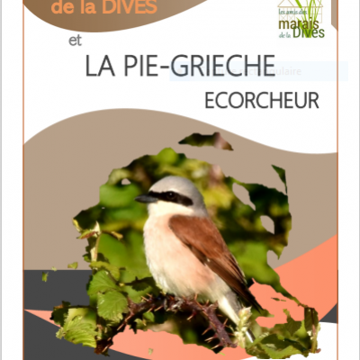 Couv cahier bp pla pge