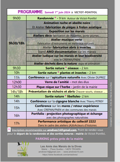 Programme jdm