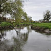 La Dives à Bures-sur-Dives