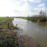 Dives en crue - Le Ham