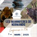 Affiche conf 1er mars cabourg