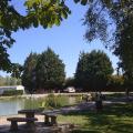 Etang du colvert jpg 2