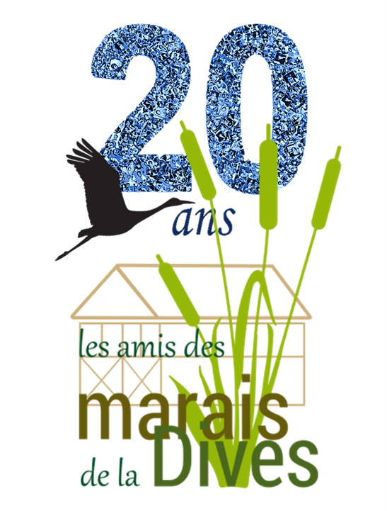 Logo 20 ans fond blanc nov 24 v2
